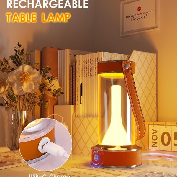 ROSHWEY Portable Camping Lantern, Rechargeable LED Small Table Lamp Dimmable Nightlight for Indoor Outdoor, Home Emergencey and Outages Lights, Orange Handle