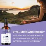 Vimergy Organic Liquid Zinc (115 ml) 57 Servings Immune Support & Metabolism Boost Vegan Gluten-Free Non-GMO