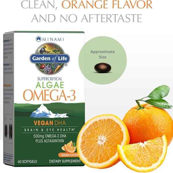 Garden of Life Minami Algae Omega 3 Vegan DHA Orange Flavor 500mg Omega 3 DHA 60 Mini Softgels