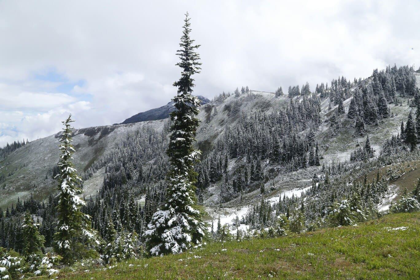 olympic-national-park.jpg